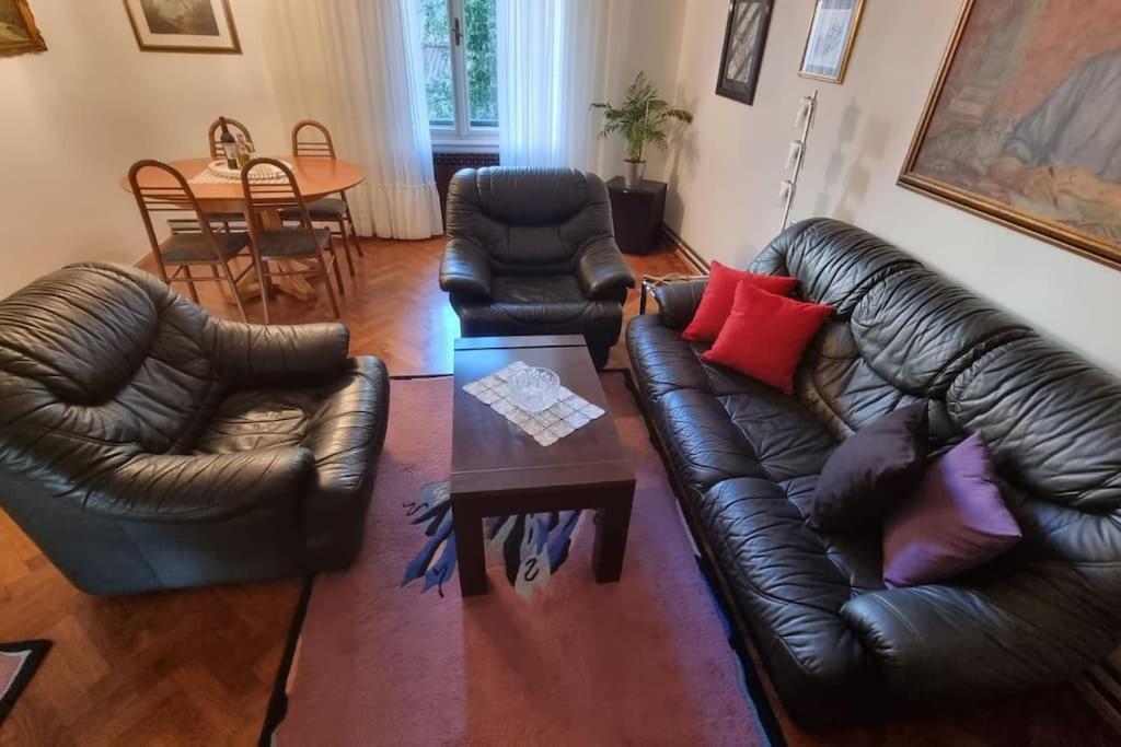 Olden House-Central Apartment-Parking Zagreb Luaran gambar